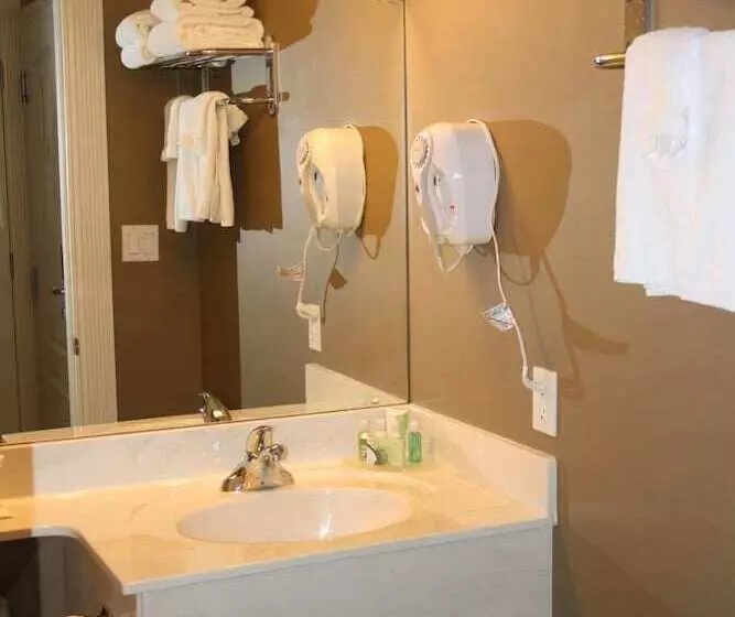 ホテル Lakeview Inns & Suites  Edson Airport West