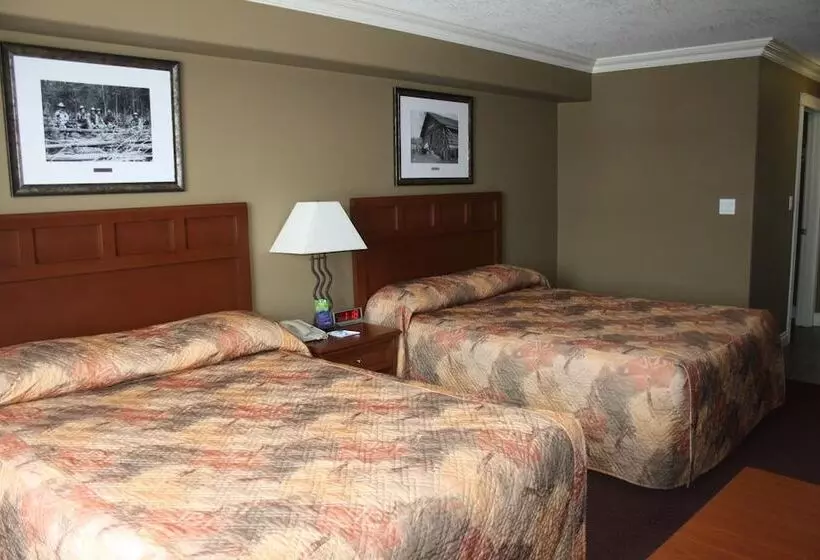 ホテル Lakeview Inns & Suites  Edson Airport West