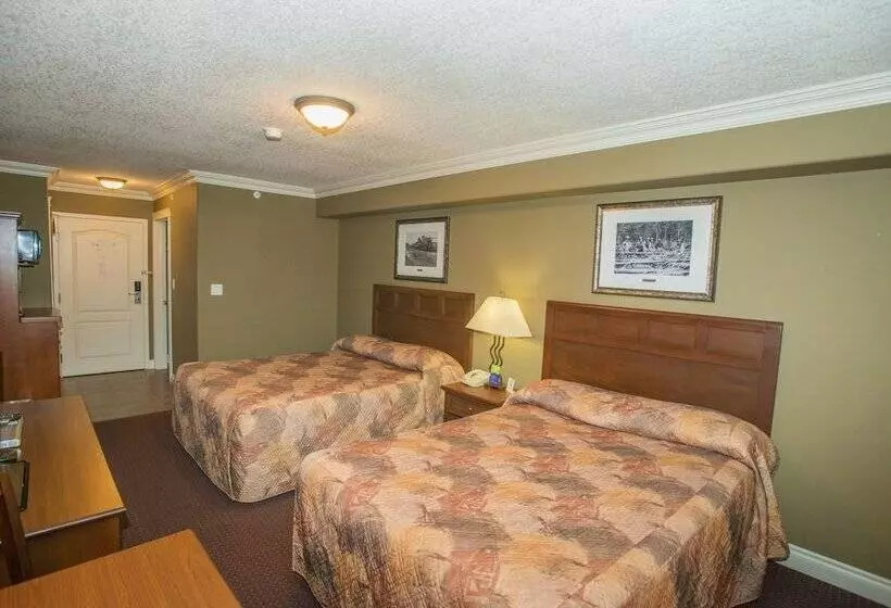 ホテル Lakeview Inns & Suites  Edson Airport West