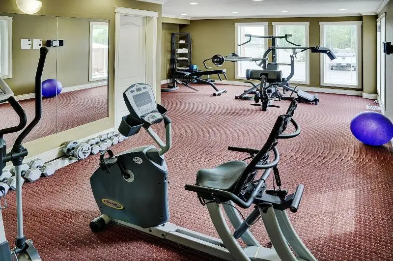 ホテル Lakeview Inns & Suites  Edson Airport West