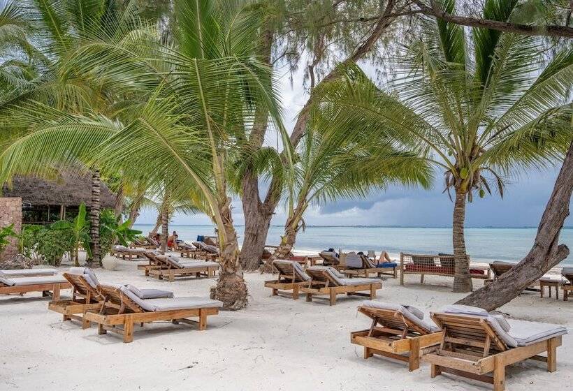 ホテル Michamvi Sunset Bay