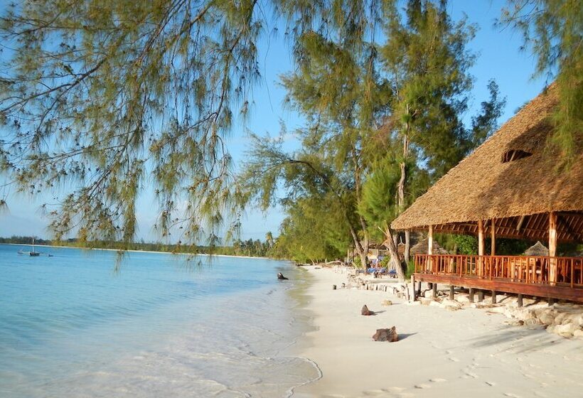 ホテル Michamvi Sunset Bay