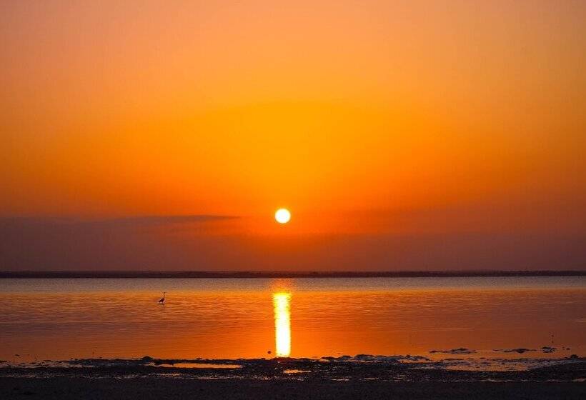 ホテル Michamvi Sunset Bay