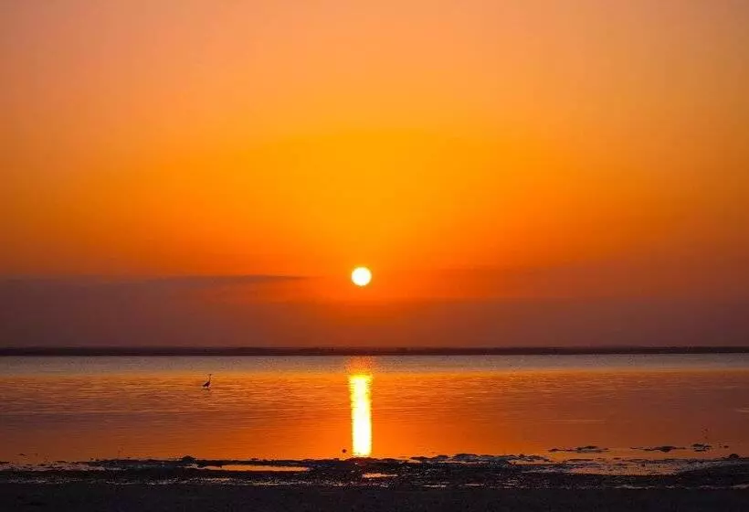 Hotel Michamvi Sunset Bay