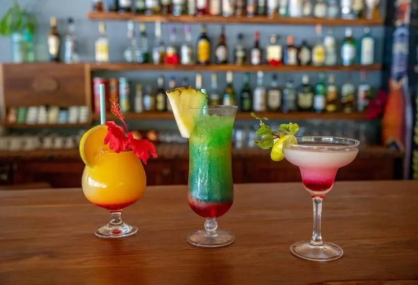 Hotel Michamvi Sunset Bay