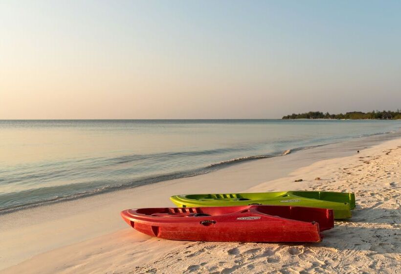 ホテル Michamvi Sunset Bay