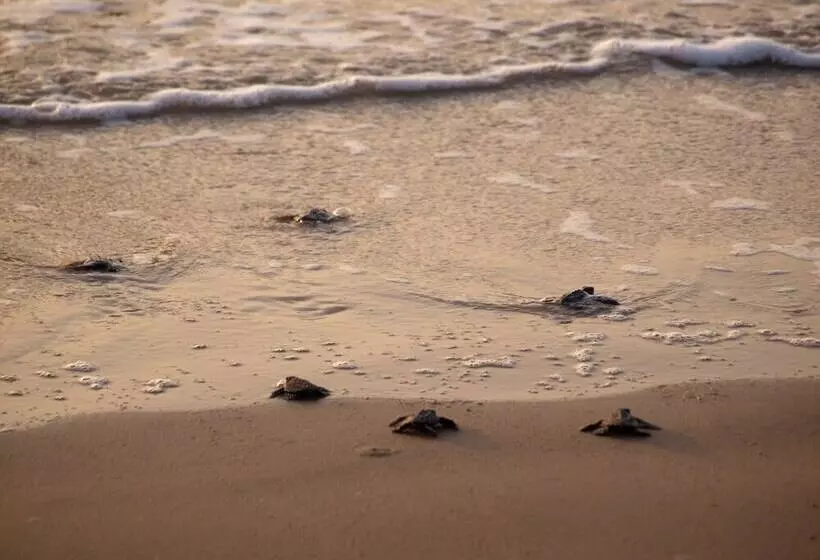 Отель Mundo Milo Eco Lodge