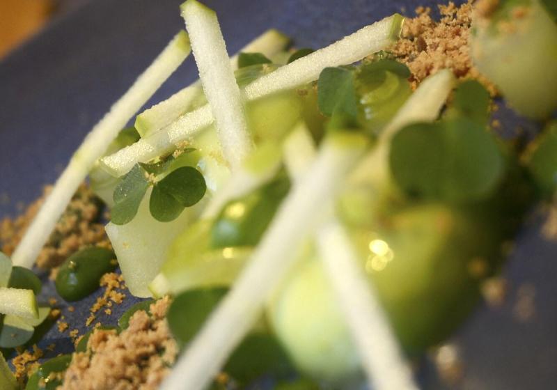 호텔 The Royal Snail