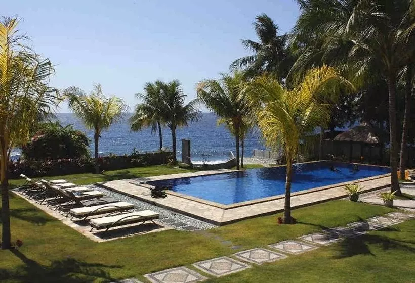 Fish In Air Tulamben Dive Resort