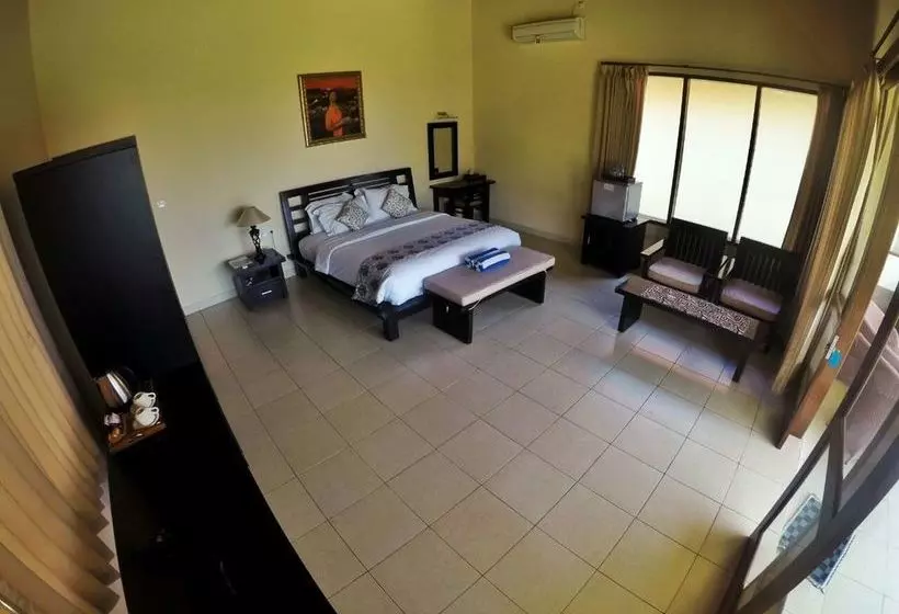 Fish In Air Tulamben Dive Resort