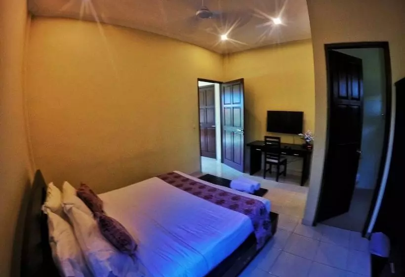 Fish In Air Tulamben Dive Resort