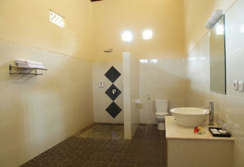 Fish In Air Tulamben Dive Resort