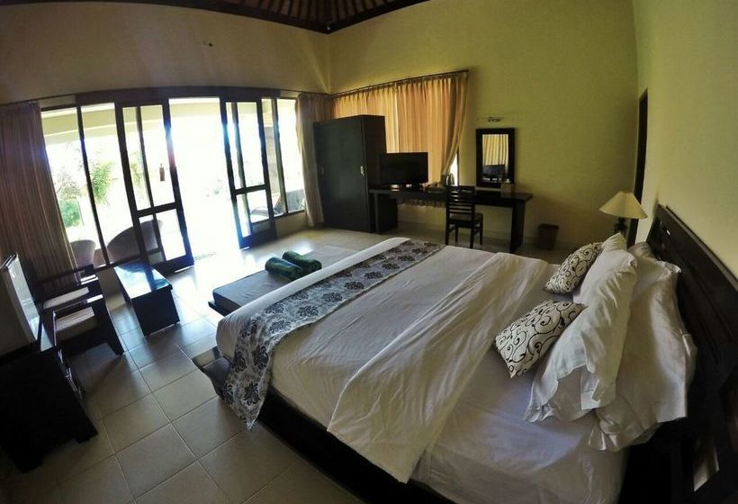 Fish In Air Tulamben Dive Resort