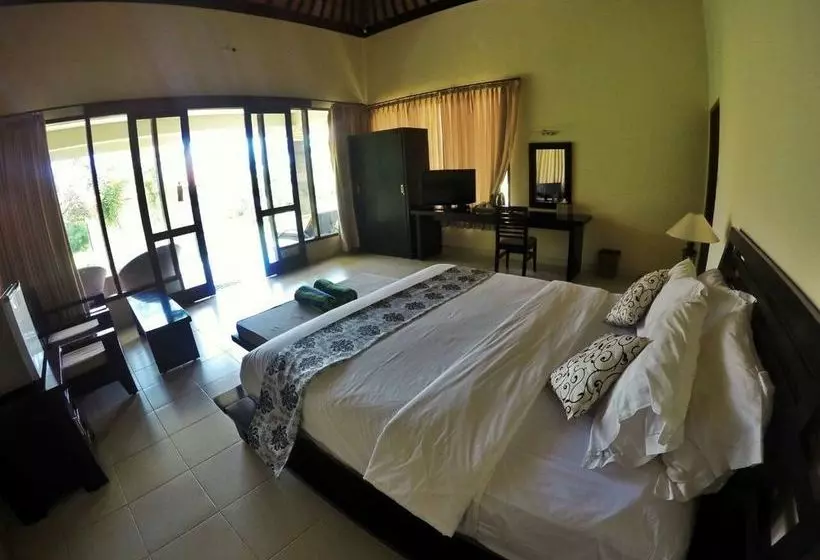 Fish In Air Tulamben Dive Resort