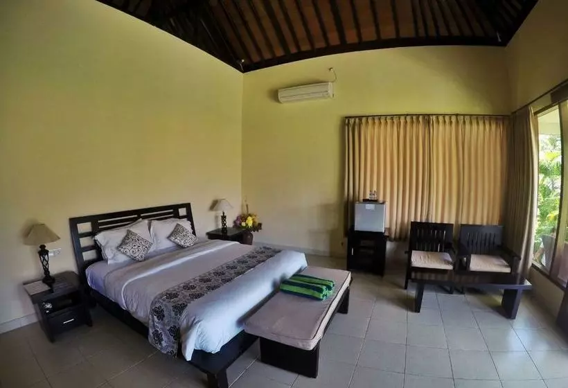 Fish In Air Tulamben Dive Resort