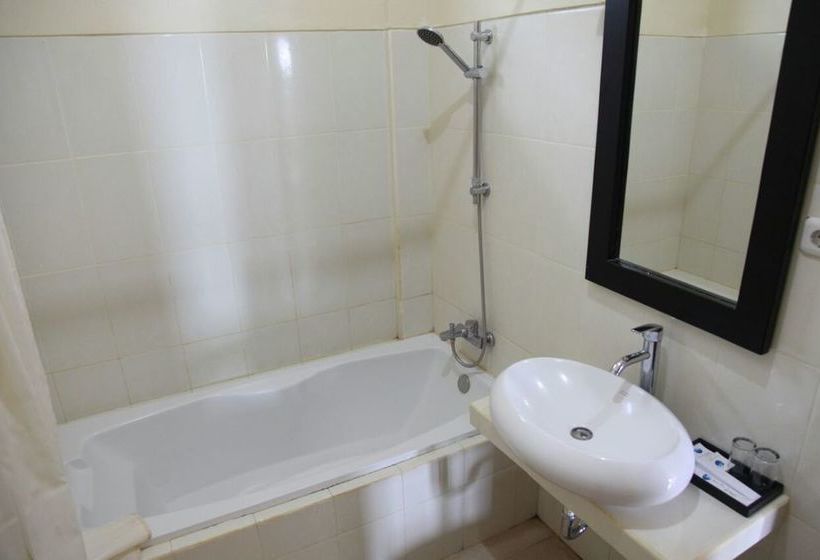 Fish In Air Tulamben Dive Resort