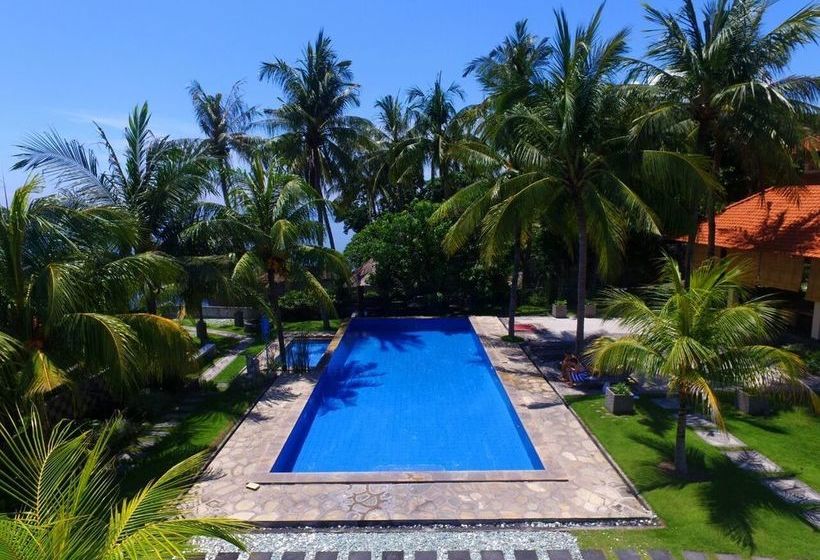 Fish In Air Tulamben Dive Resort