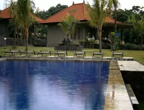 Fish In Air Tulamben Dive Resort