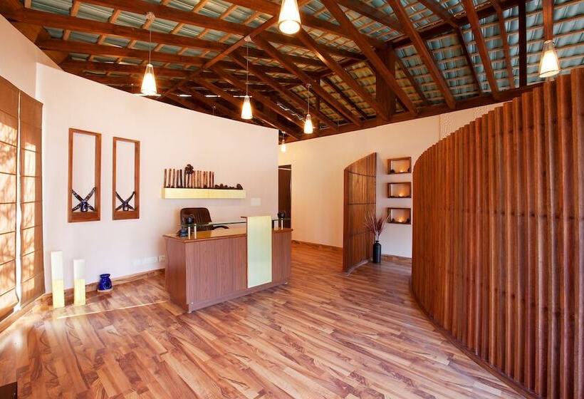 리조트 The Terraces