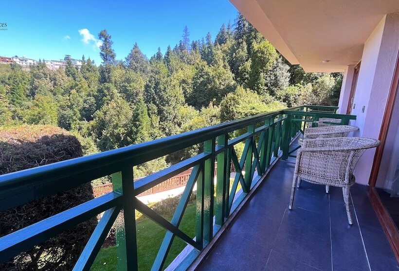 리조트 The Terraces