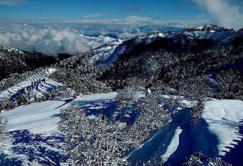 리조트 The Terraces