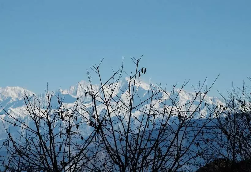 리조트 The Terraces