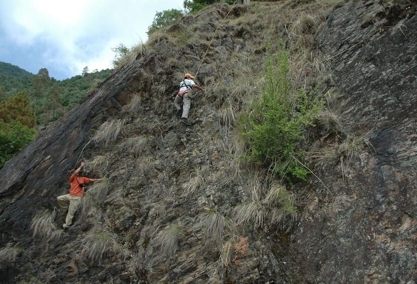 리조트 The Terraces