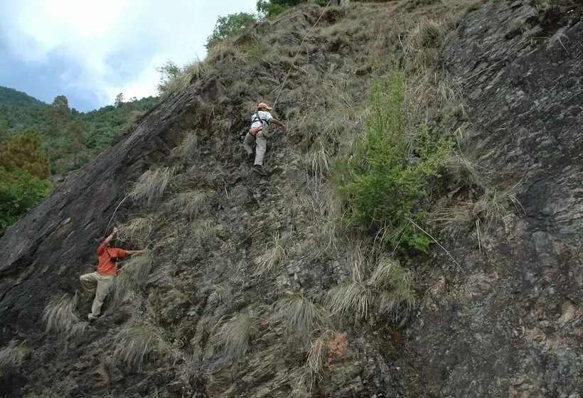 리조트 The Terraces