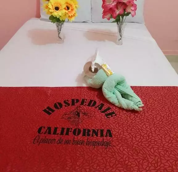 ホテル Hospedaje California Inn