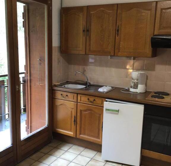 Le Refuge Apparts Et 1chalets A Samoens 74