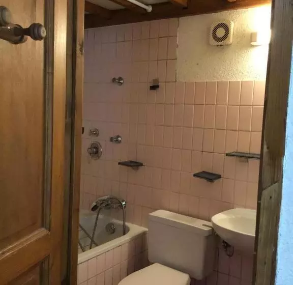 Le Refuge Apparts Et 1chalets A Samoens 74