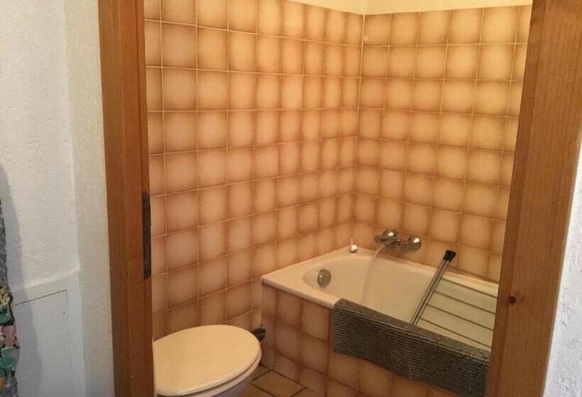 Le Refuge Apparts Et 1chalets A Samoens 74