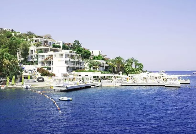 Bilkent Casa Costa Boutique Hotel   Boutique Class