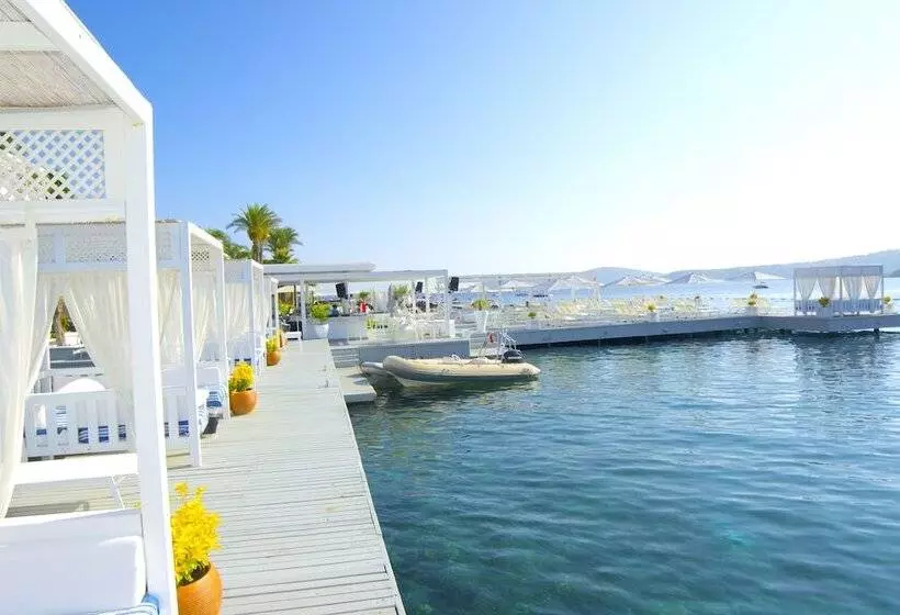 Bilkent Casa Costa Boutique Hotel   Boutique Class