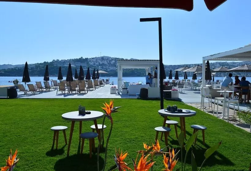 Bilkent Casa Costa Boutique Hotel   Boutique Class
