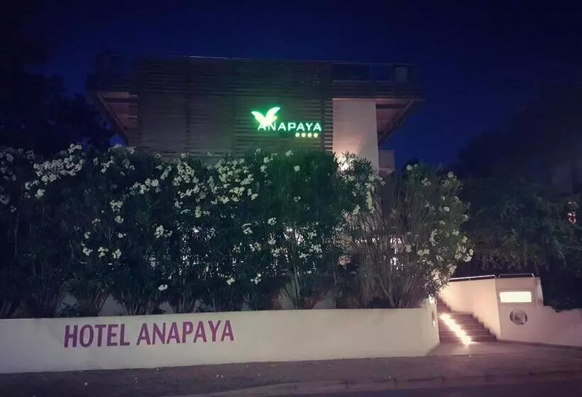 ホテル Anapaya