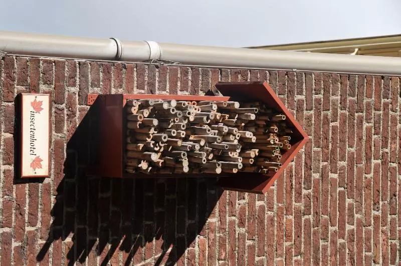 酒店 De Plataan Delft Centrum