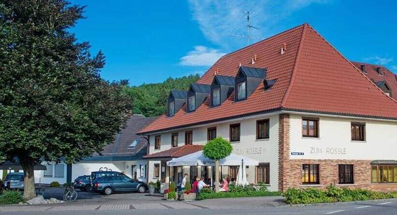 酒店 Gasthof Zum Rossle
