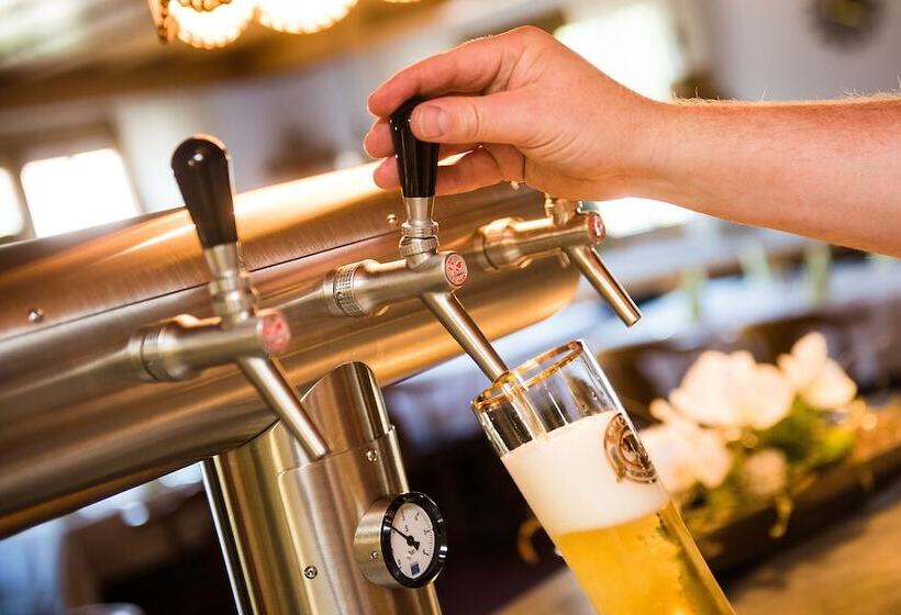 酒店 Gasthof Zum Rossle