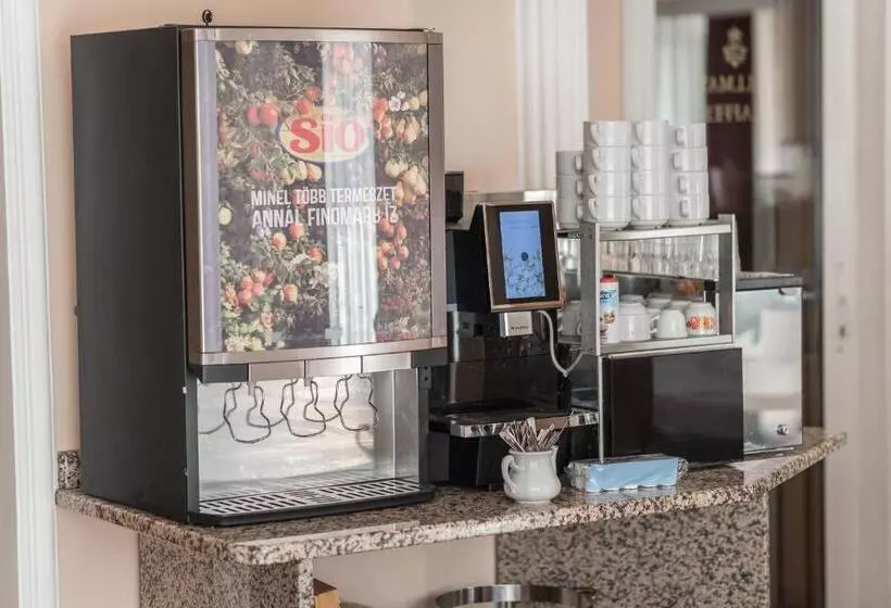 هتل Kaiser Panzió