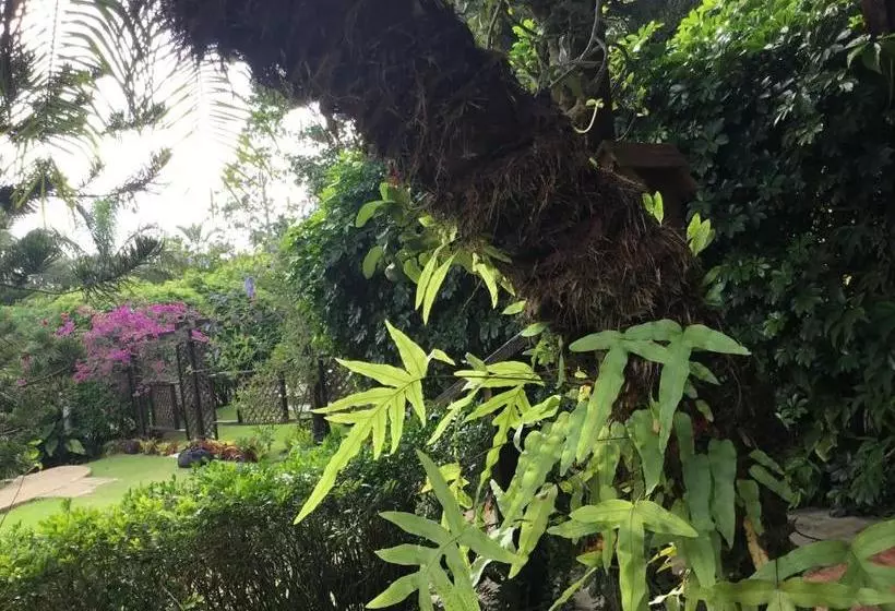 هتل Rancho Olivier