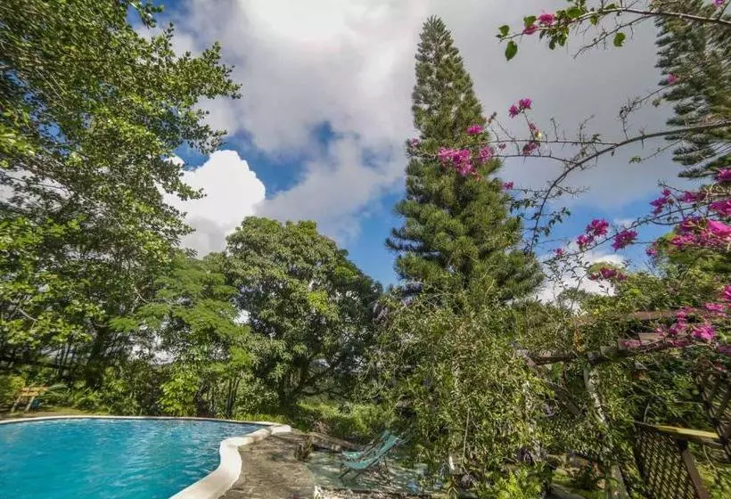 هتل Rancho Olivier