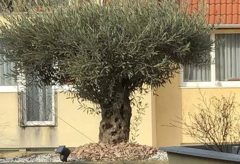 Hotel Semiramis Business