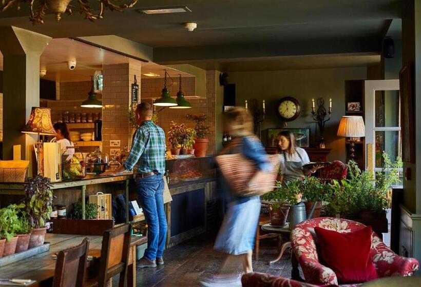 هتل The Pig In The Wall