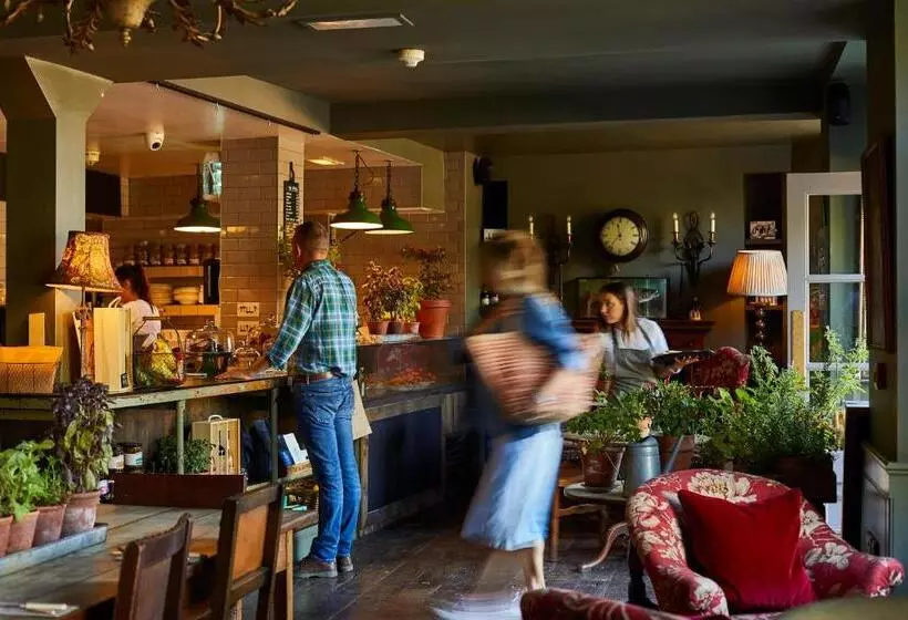 هتل The Pig In The Wall