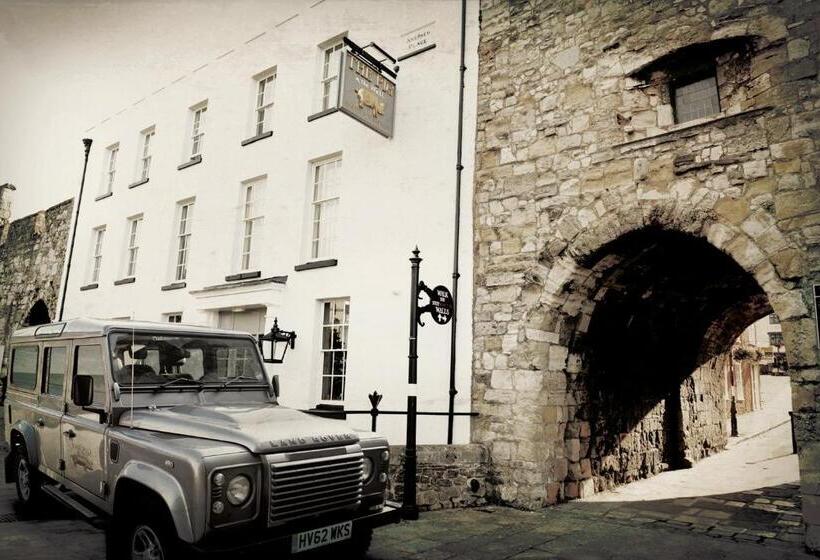 هتل The Pig In The Wall