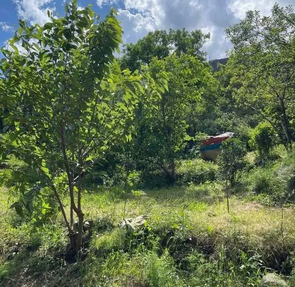 Hotelli Rafting House