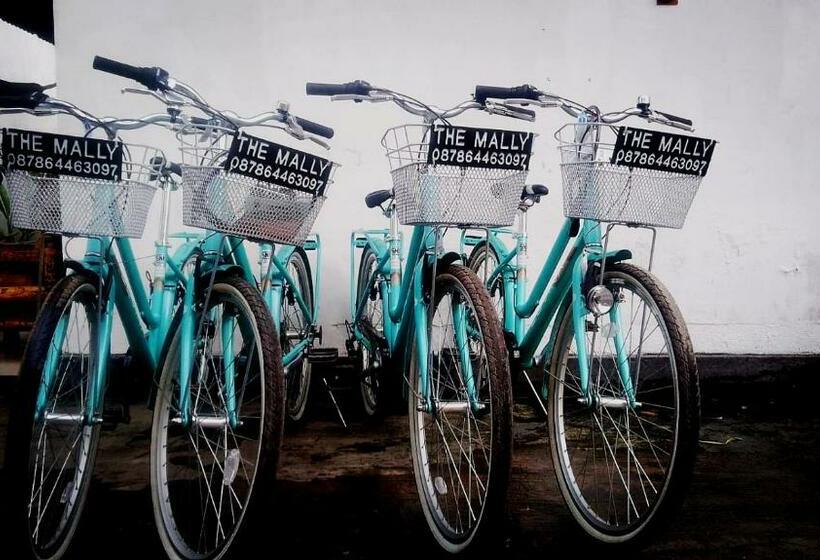 Pensionat The Mally Homestay