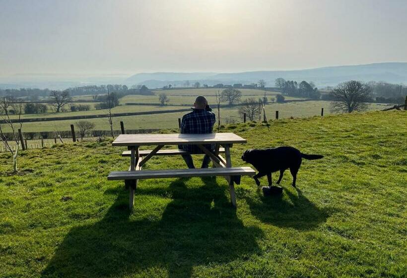 Hotelli Pen Bryn Shepherd Hut