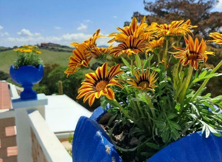 צימר Lispusada Agriturismo